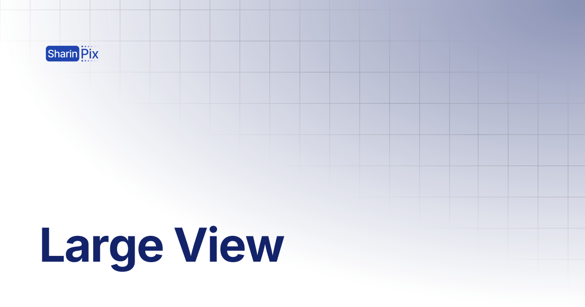 Large View | All Articles | SharinPix Documentation